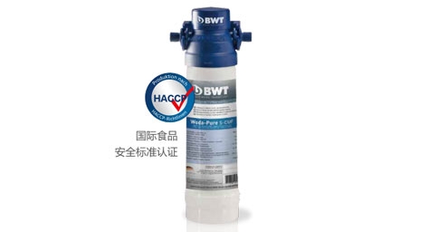 BWT Woda-Pure s超能系列91香蕉直播视频器